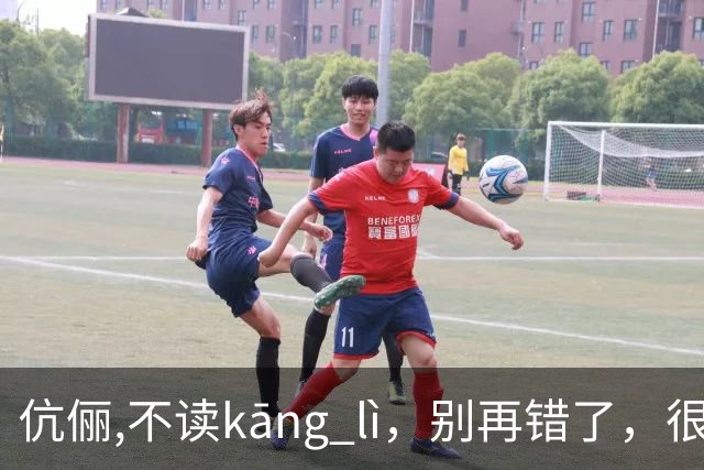 伉俪,不读kāng lì，别再错了，很丢人!