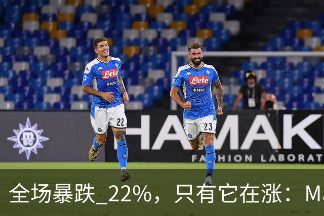 全场暴跌 22%，只有它在涨：Mate 80 的 900 万台是谁买的？