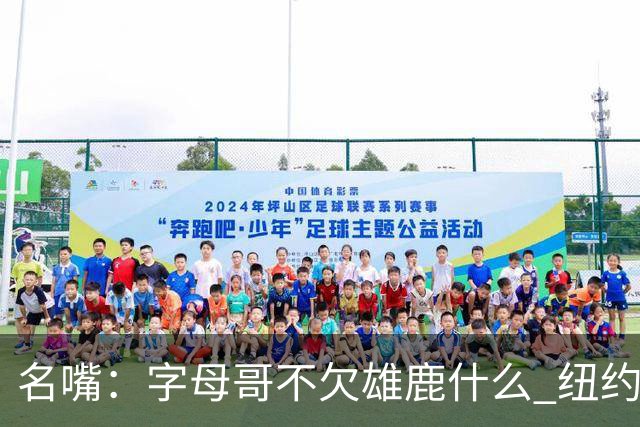 名嘴：字母哥不欠雄鹿什么 纽约现在渴望冠军