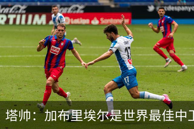 塔帅：加布里埃尔是世界最佳中卫之一，他在两个禁区的作用太强了