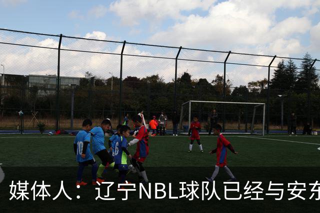 媒体人：辽宁NBL球队已经与安东尼取得联系