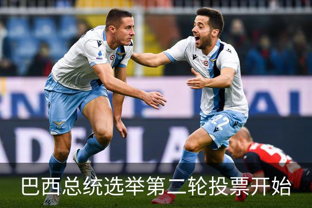 巴西总统选举第二轮投票开始