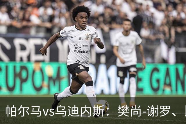 帕尔马vs乌迪内斯：樊尚-谢罗、比拉勒-图雷首发，扎尼奥洛、凯南-戴维斯出战