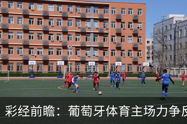 彩经前瞻：葡萄牙体育主场力争反弹，维塞乌四连胜恐难延续