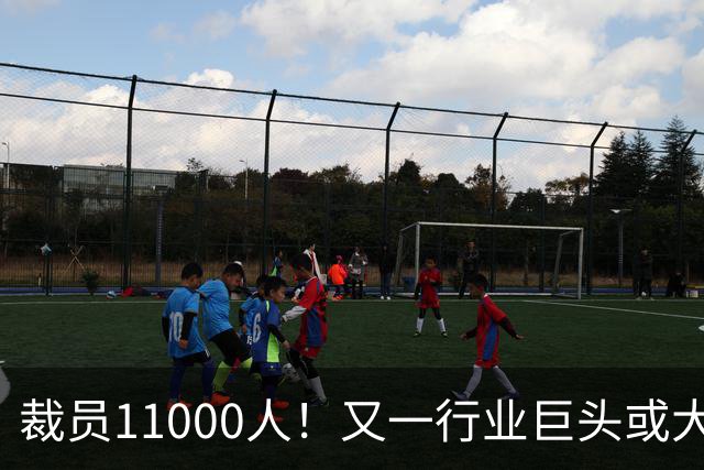 裁员11000人！又一行业巨头或大规模撤出中国，曾在华深耕30多年