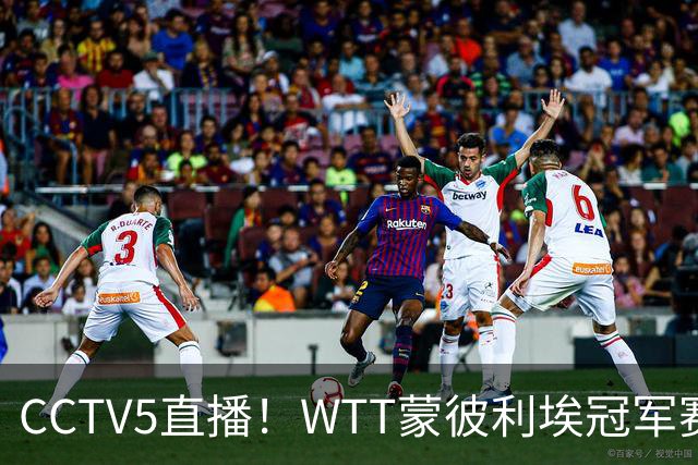 CCTV5直播！WTT蒙彼利埃冠军赛次日赛程，国乒5将轮番登场，王曼昱陈幸同复出